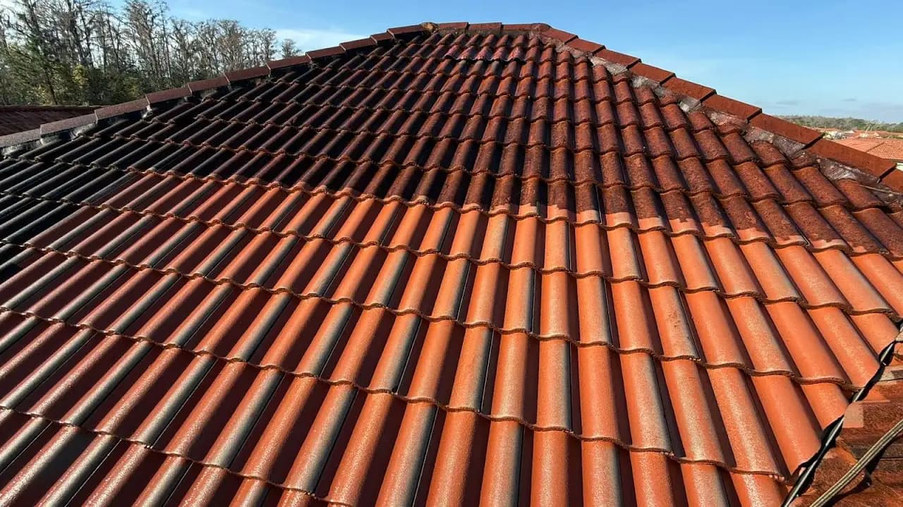 Limpeza externa — Depois